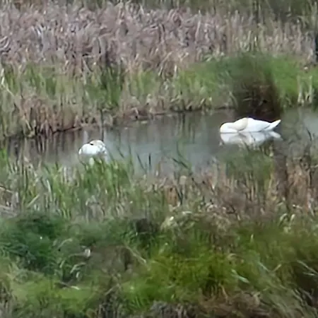 別荘 House 15 Min Gdansk Old Town And Airport Borkowo