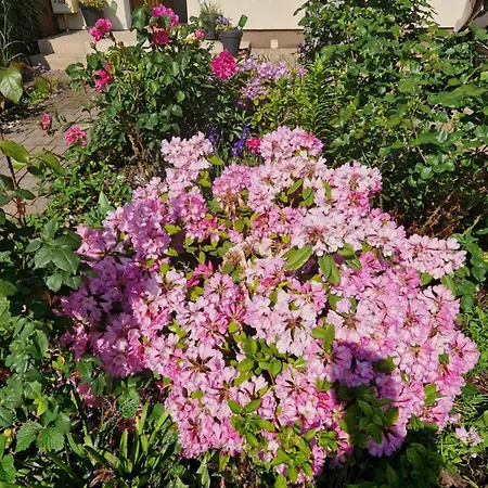 Hébergement de vacances House 15 Min Gdansk Old Town And Airport Borkowo (Gdansk)