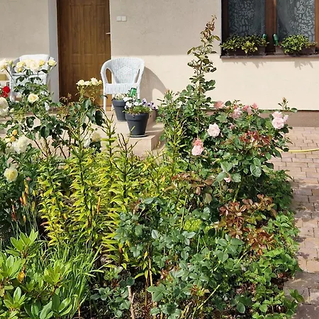 House 15 Min Gdansk Old Town And Airport * Borkowo (Gdansk)