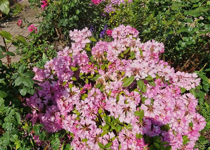 Hébergement de vacances House 15 Min Gdansk Old Town And Airport Borkowo (Gdansk)