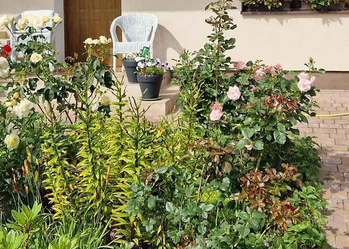 House 15 Min Gdansk Old Town And Airport * Borkowo (Gdansk)